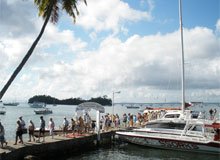 Samana Humpback Whale Watching Sightseeing Tours and Maritime excursions all over the bay of Samana... Leaving from the town of Santa Barbara de Samana.