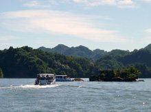 Los Haitises National Park Tour for Cruise Ship from Port of Samana... Go with Marivanna Tours for Half Day Excursions and tours for your Cruise Ship in the Port of Samana...