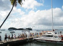 Samana Humpback Whale Watching Sightseeing Tours all over the Bay of Samana. All Excursions and Tours are leaving from the town of Santa Barbara de Samana.
