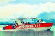 Best Priced Samana Whale Watching Excursions in Samana Bay Dominican Republic.